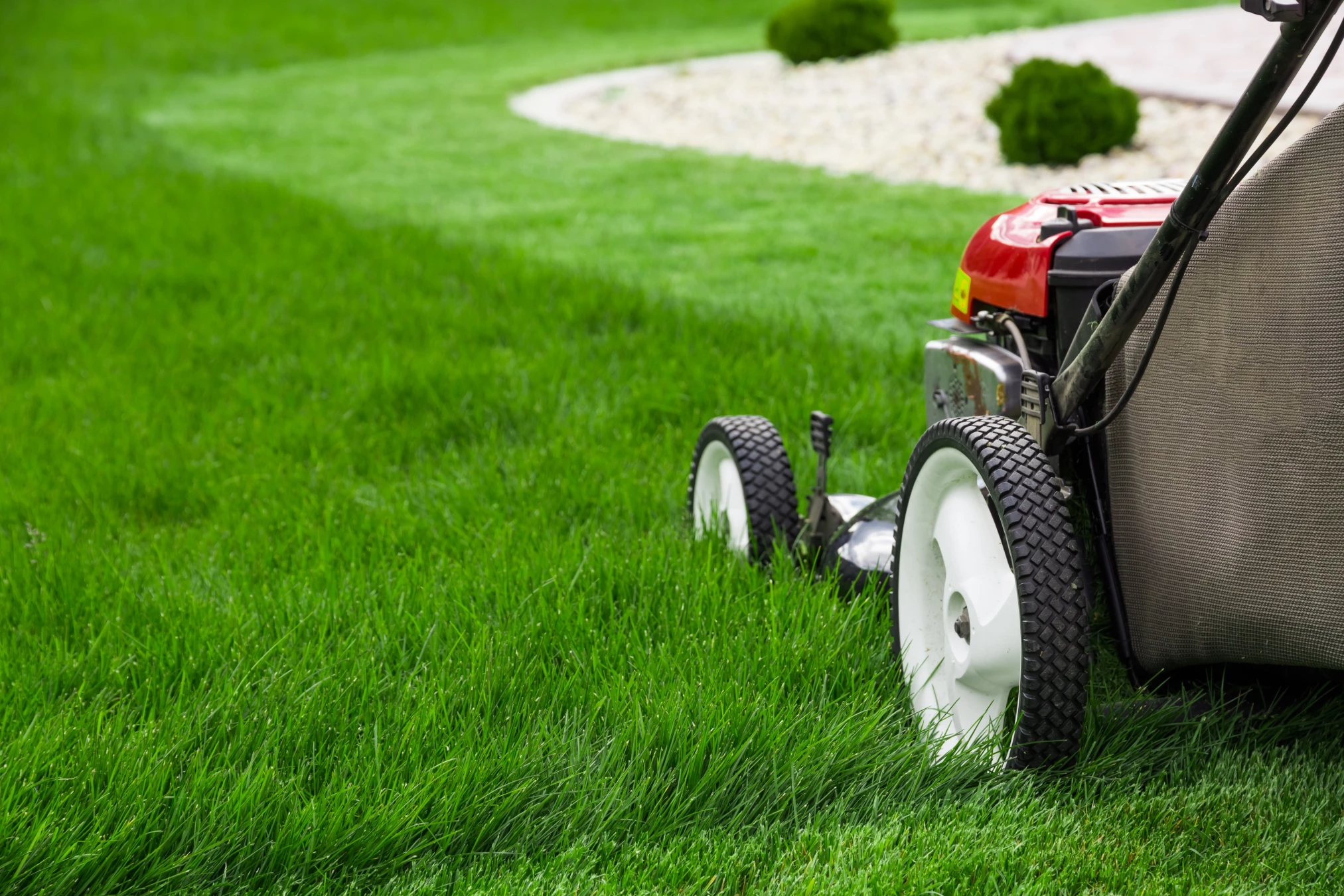 Close-up of a red and black lawn mower with white wheels on a freshly cut green lawn, showing a clear lawn mowing line and a landscaped area with white stones and a small green shrub in the background.
