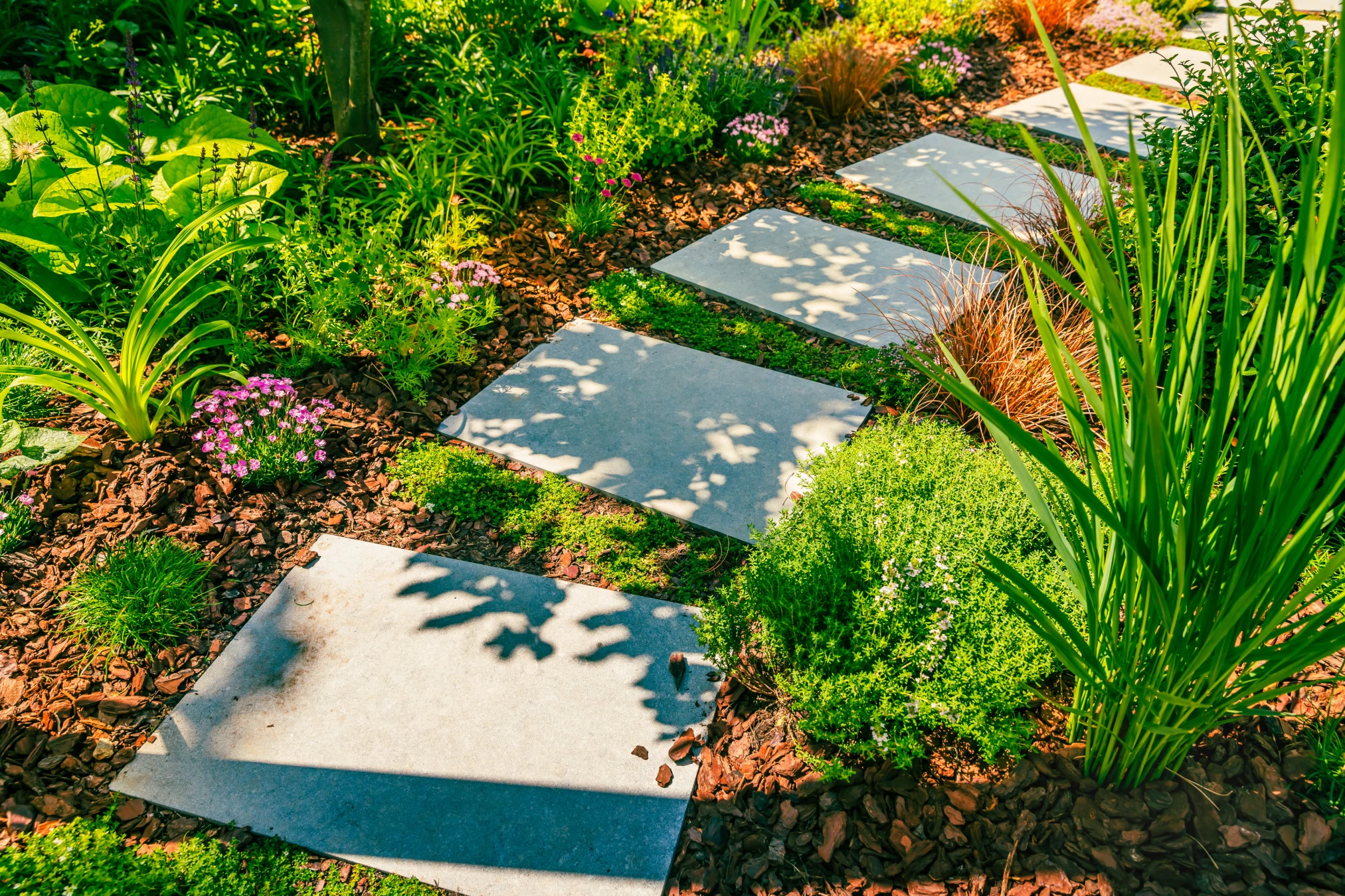 Concrete stepping stones forming a garden path surrounded by green plants, flowering shrubs, and brown mulch, with sunlight casting shadows on the stones.