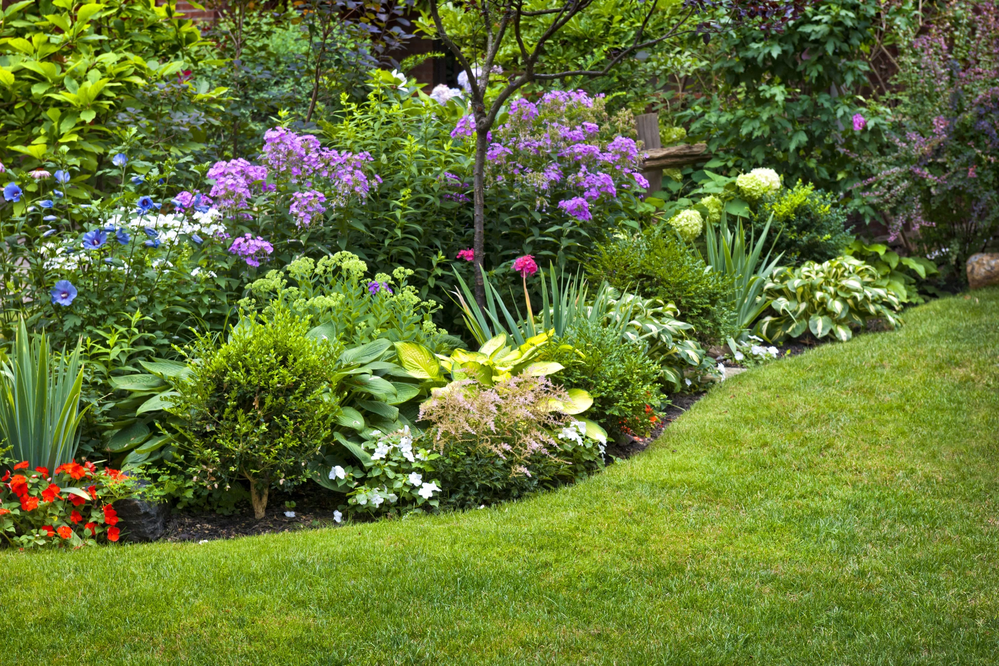 Colorful garden bed with a variety of flowering plants and shrubs, including purple, white, red, and blue flowers, bordered by a neatly trimmed green lawn.